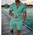 cheap Men&#039;s T shirt and Shorts Set-Men&#039;s Running T-Shirt With Shorts Polo Collar Zip Graphic Casual Daily Casual Clothing Apparel Hoodies Sweatshirts