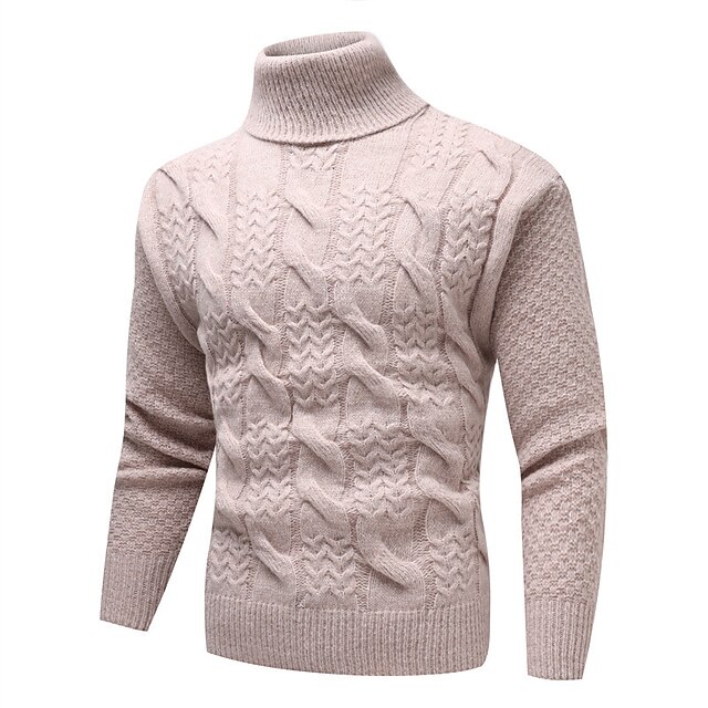 Homme Pull Pull ?� col roul?� torsad?� Tricoter Normal Tricot?� Plein Col Roul?� Garder au chaud 
