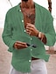 abordables camisas casuales de los hombres-Hombre camisa de lino Camisa casual Camisa de verano Camisa de playa Negro Blanco Rosa Manga Larga Plano Diseño Primavera verano Hawaiano Festivos Ropa Básico